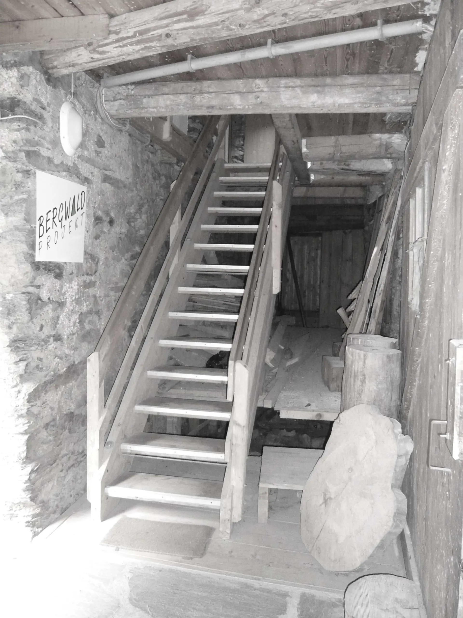 12_Umbau_Bergwaldzentrum mit Jugendherberge Mesaglina Via Principala Trin_vorher
